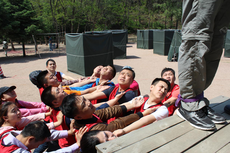 y80000��������