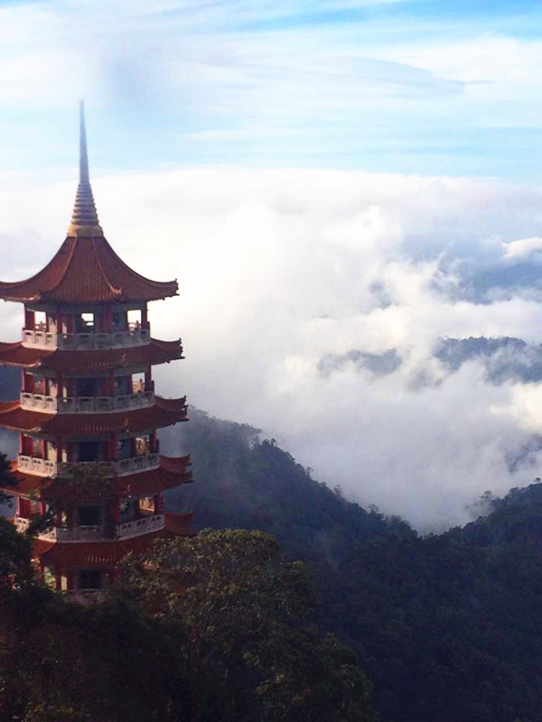 y80000��������