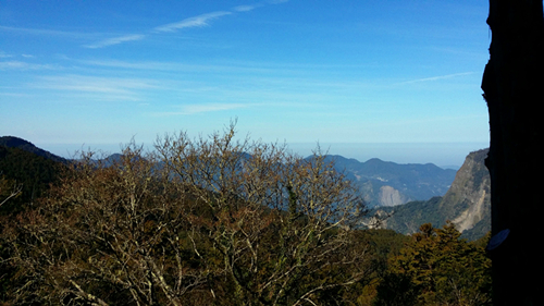 y80000��������