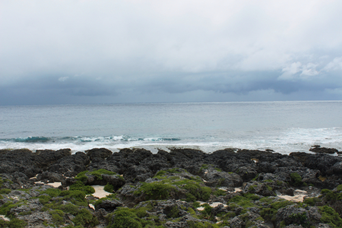 y80000��������