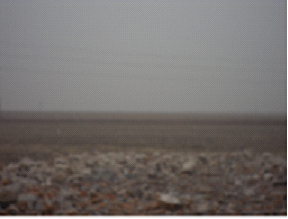 y80000��������