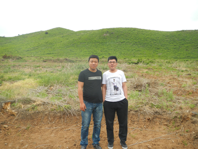 y80000��������