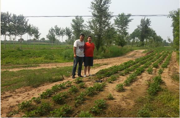 y80000��������