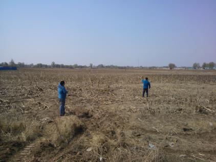 y80000��������