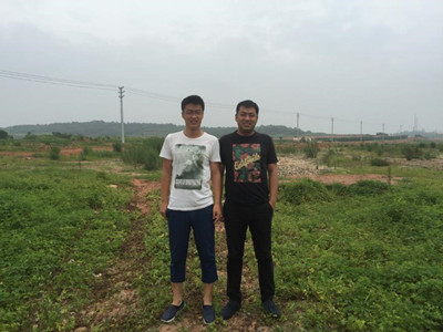 y80000��������