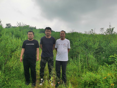 y80000��������