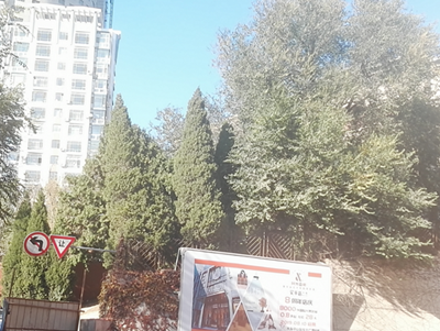 y80000��������