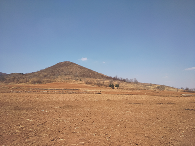 y80000��������