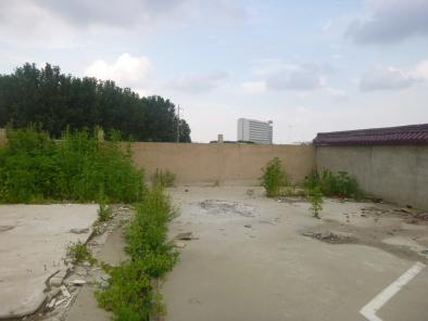 y80000��������