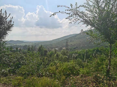 y80000��������