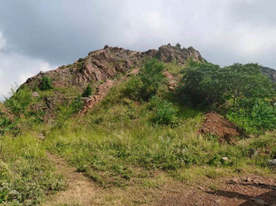 y80000��������