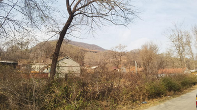 y80000��������