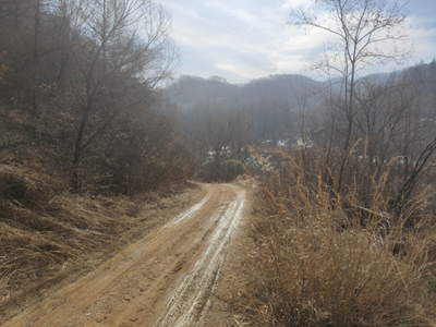 y80000��������