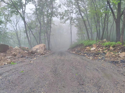 y80000��������