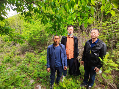 y80000��������