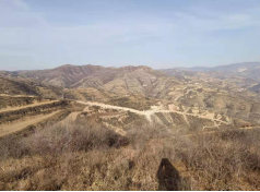 y80000��������