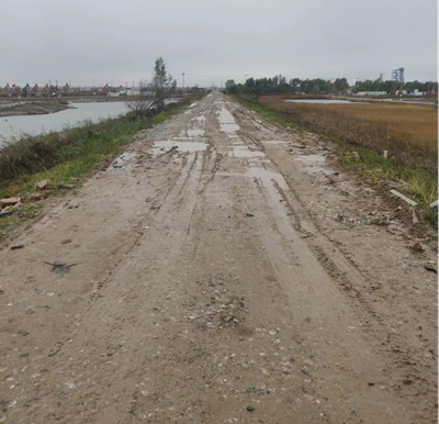 y80000��������