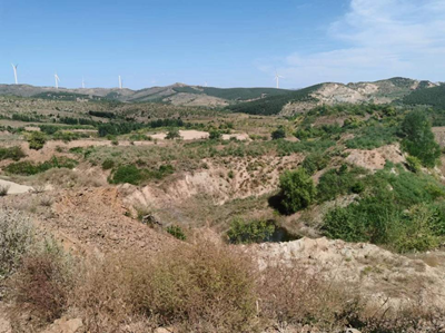 y80000��������