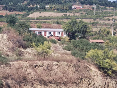 y80000��������