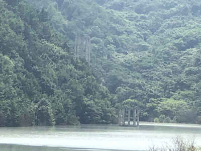 y80000��������