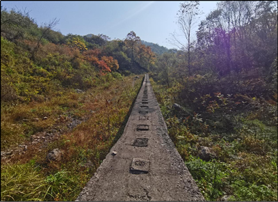 y80000��������