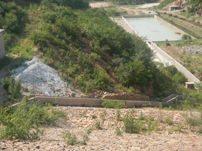 y80000��������