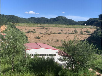 y80000��������