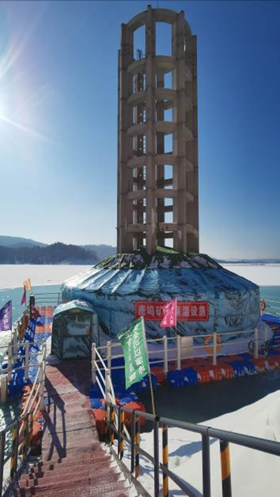 y80000��������