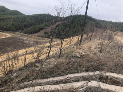 y80000��������