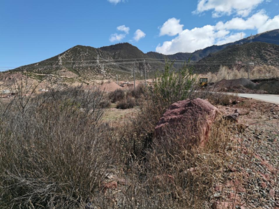 y80000��������