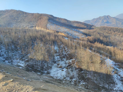 y80000��������