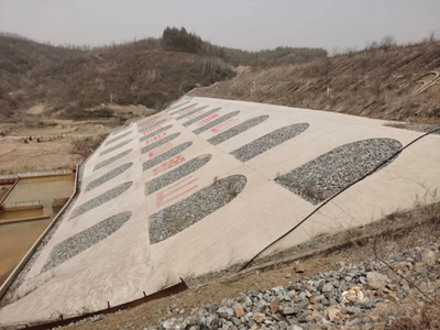 y80000��������