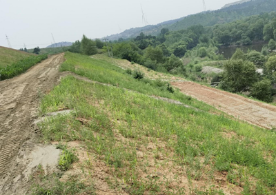 y80000��������