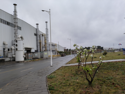 y80000��������