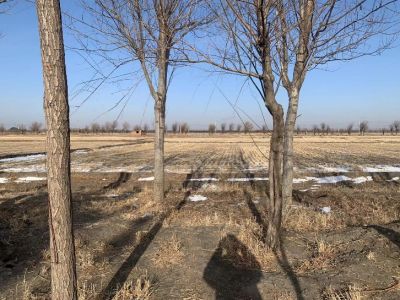 y80000��������