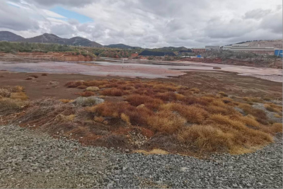 y80000��������