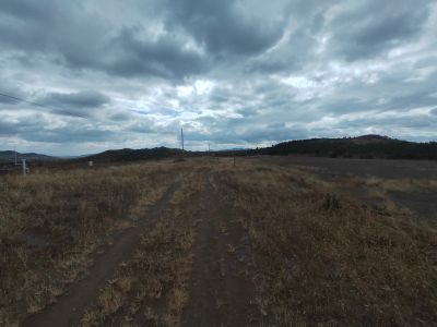 y80000��������