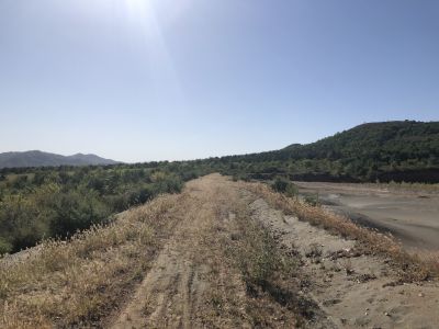 y80000��������