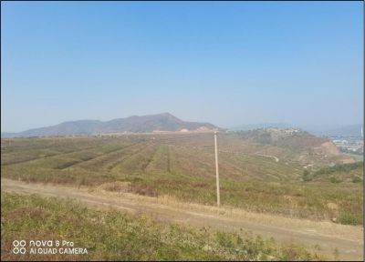 y80000��������