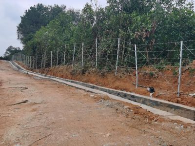 y80000��������