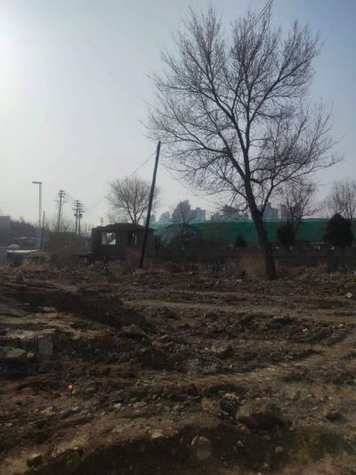 y80000��������