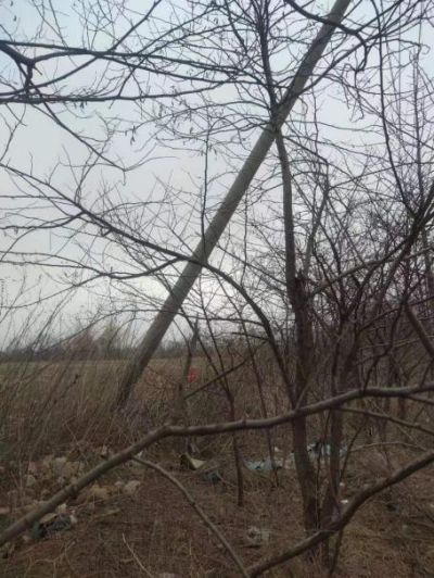 y80000��������