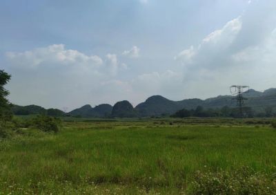 y80000��������