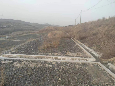 y80000��������