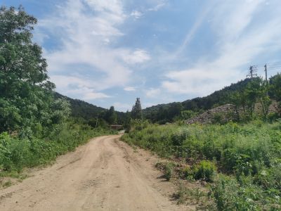 y80000��������