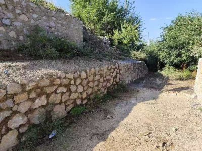 y80000��������