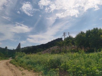 y80000��������