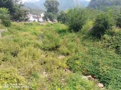 y80000��������