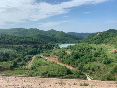 y80000��������