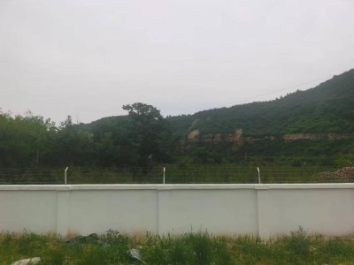 y80000��������